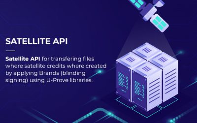 Satellite API for file transfer